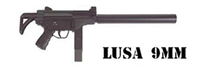 Lusa Lusa